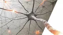 ##IMAGE##