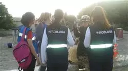 ##IMAGE##