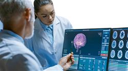diplomado principios neuroanatomia