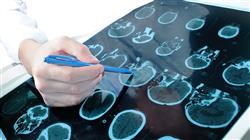 formacion principios neuroanatomia