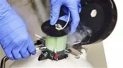 practicas externas enfermeria servicio reproduccion asistida