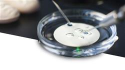 maestria semipresencial enfermeria servicio reproduccion asistida
