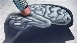 ##IMAGE##