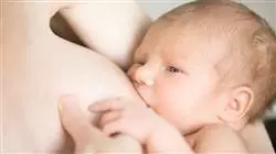 ##IMAGE##