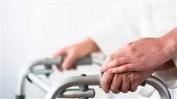 ##IMAGE##