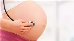 ##IMAGE##