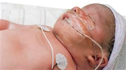 diplomado urgencias neonatales enfermeria