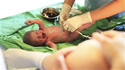 posgrado urgencias obstetricas parto enfermeria