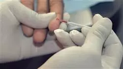 ##IMAGE##