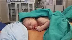 ##IMAGE##
