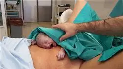##IMAGE##