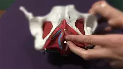 ##IMAGE##