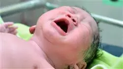 ##IMAGE##