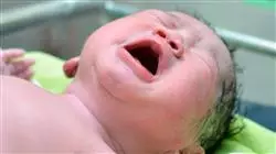 ##IMAGE##