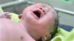 ##IMAGE##