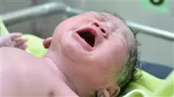##IMAGE##