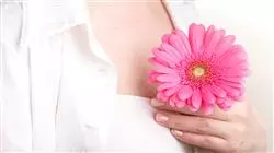 ##IMAGE##