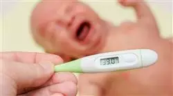 ##IMAGE##