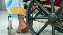 ##IMAGE##