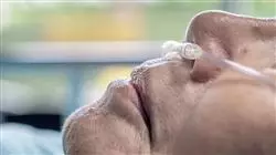 ##IMAGE##