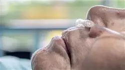 ##IMAGE##