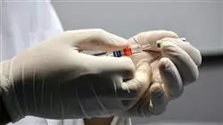 ##IMAGE##