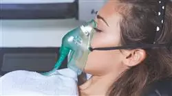 ##IMAGE##