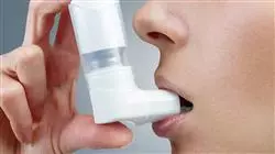 ##IMAGE##