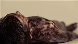 ##IMAGE##