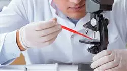 ##IMAGE##