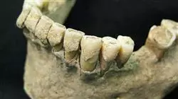 ##IMAGE##
