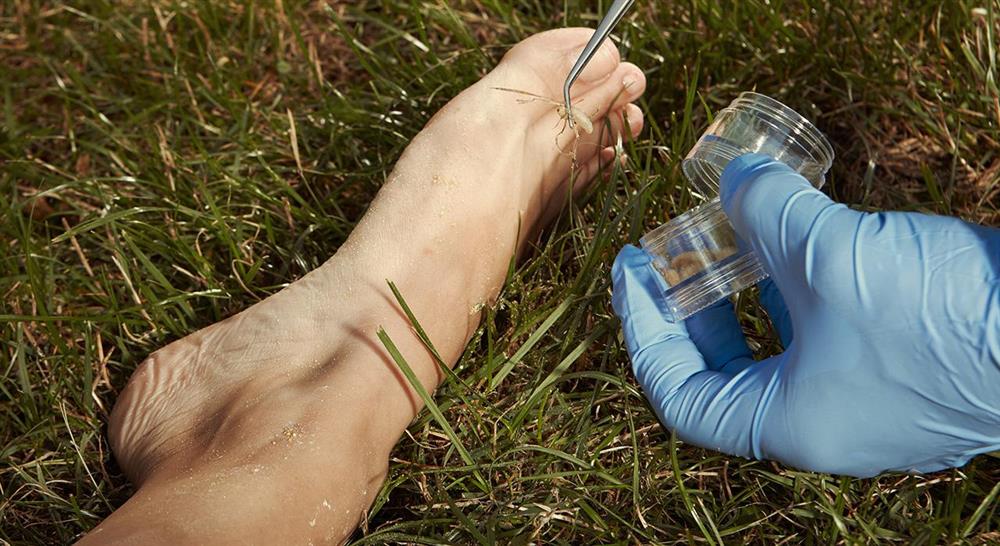 especializacion online patología forense para enfermería