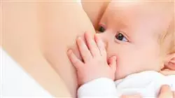 ##IMAGE##