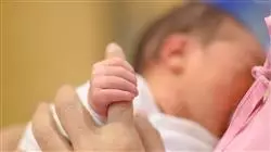 ##IMAGE##