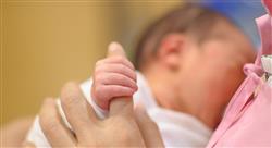 especializacion resolución de problemas durante la lactancia materna para matronas