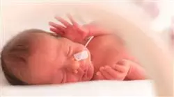 ##IMAGE##