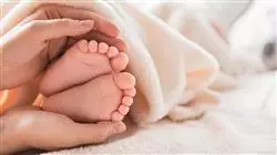 ##IMAGE##