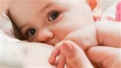 ##IMAGE##