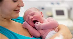 especializacion online cuidados de enfermería al recién nacido y a la mujer durante la lactancia