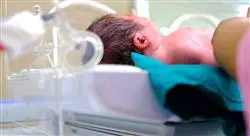experto cuidados de enfermería al recién nacido y a la mujer durante la lactancia