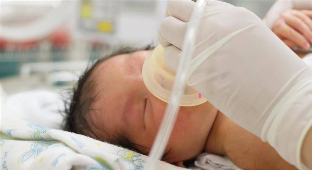 estudiar la unidad de cuidados intensivos neonatales para enfermería