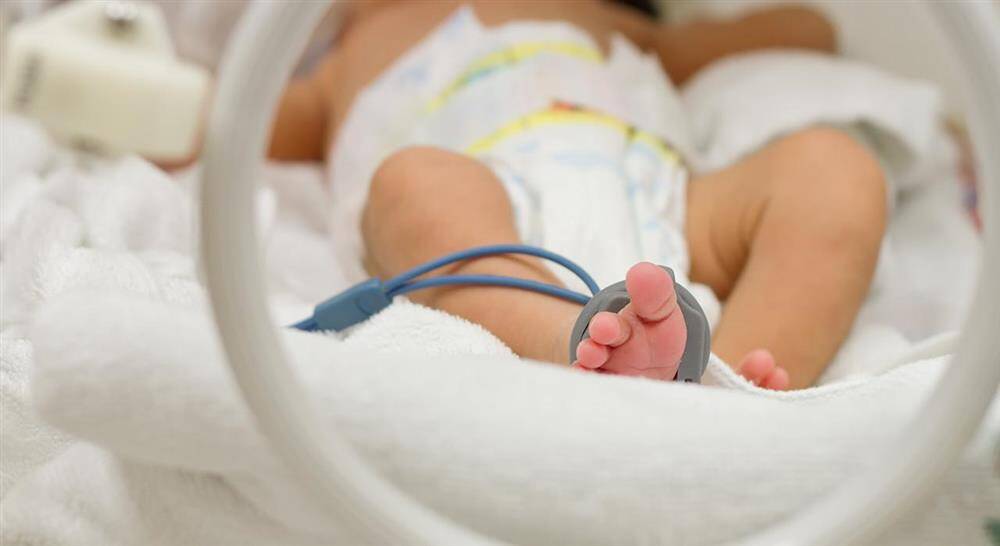 experto universitario la unidad de cuidados intensivos neonatales para enfermería