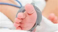 ##IMAGE##