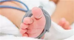 cursos la unidad de cuidados intensivos neonatales para enfermería
