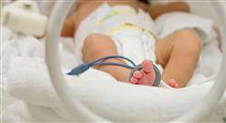 experto universitario la unidad de cuidados intensivos neonatales para enfermería