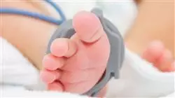 ##IMAGE##
