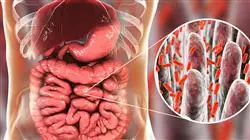 maestria microbiota humana enfermeria