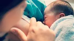 ##IMAGE##