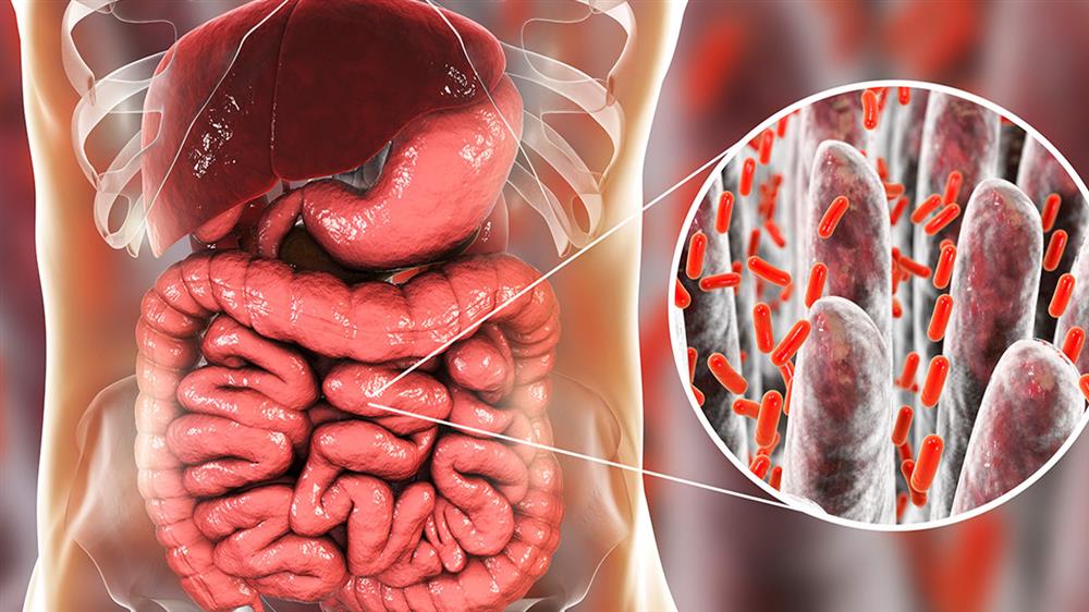 posgrado microbiota disbiosis intestinal enfermeria Tech Universidad