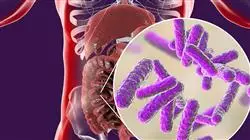 cursos microbiota intestinal enfermeria